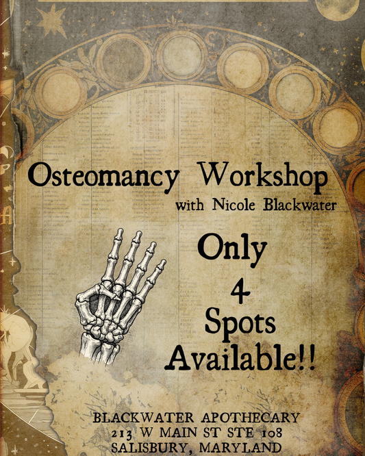 Osteomancy Workshop with Nicole Blackwater - Mon Jan 26th 4-7