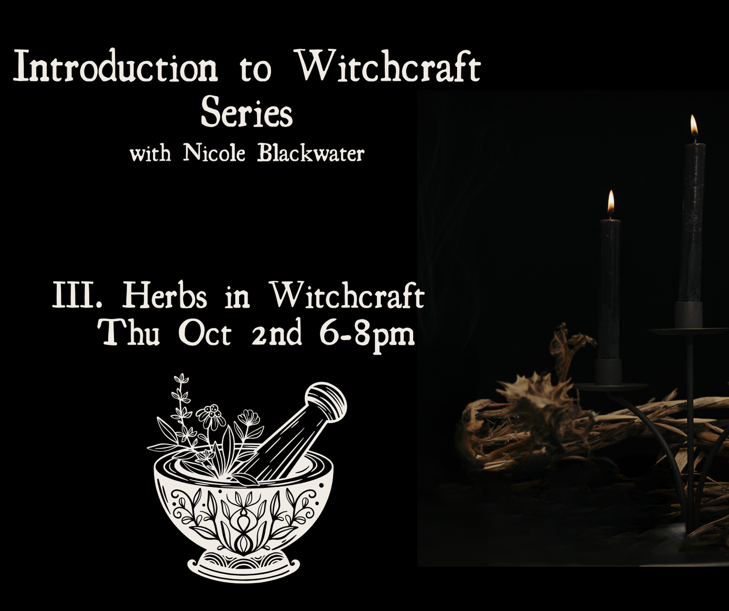 Herbs in Witchcraft - Introduction to Witchcraft Series with Nicole Blackwater