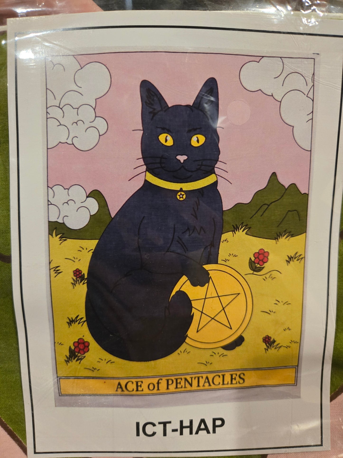 Ace of Pentacles Cat Tapestry
