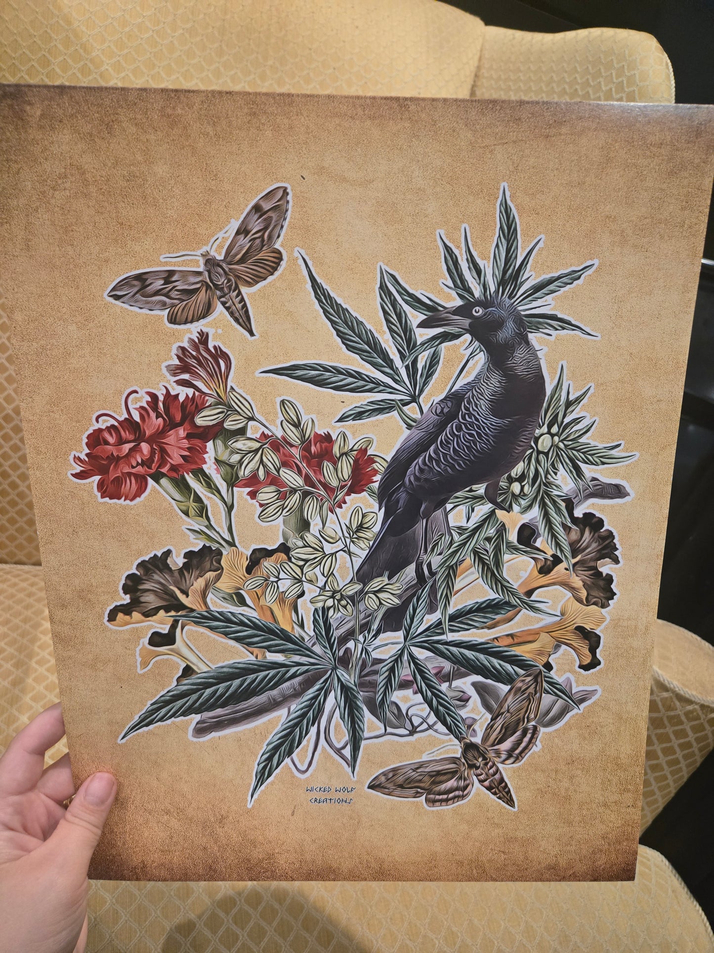 11" by 14" Fine Art Prints