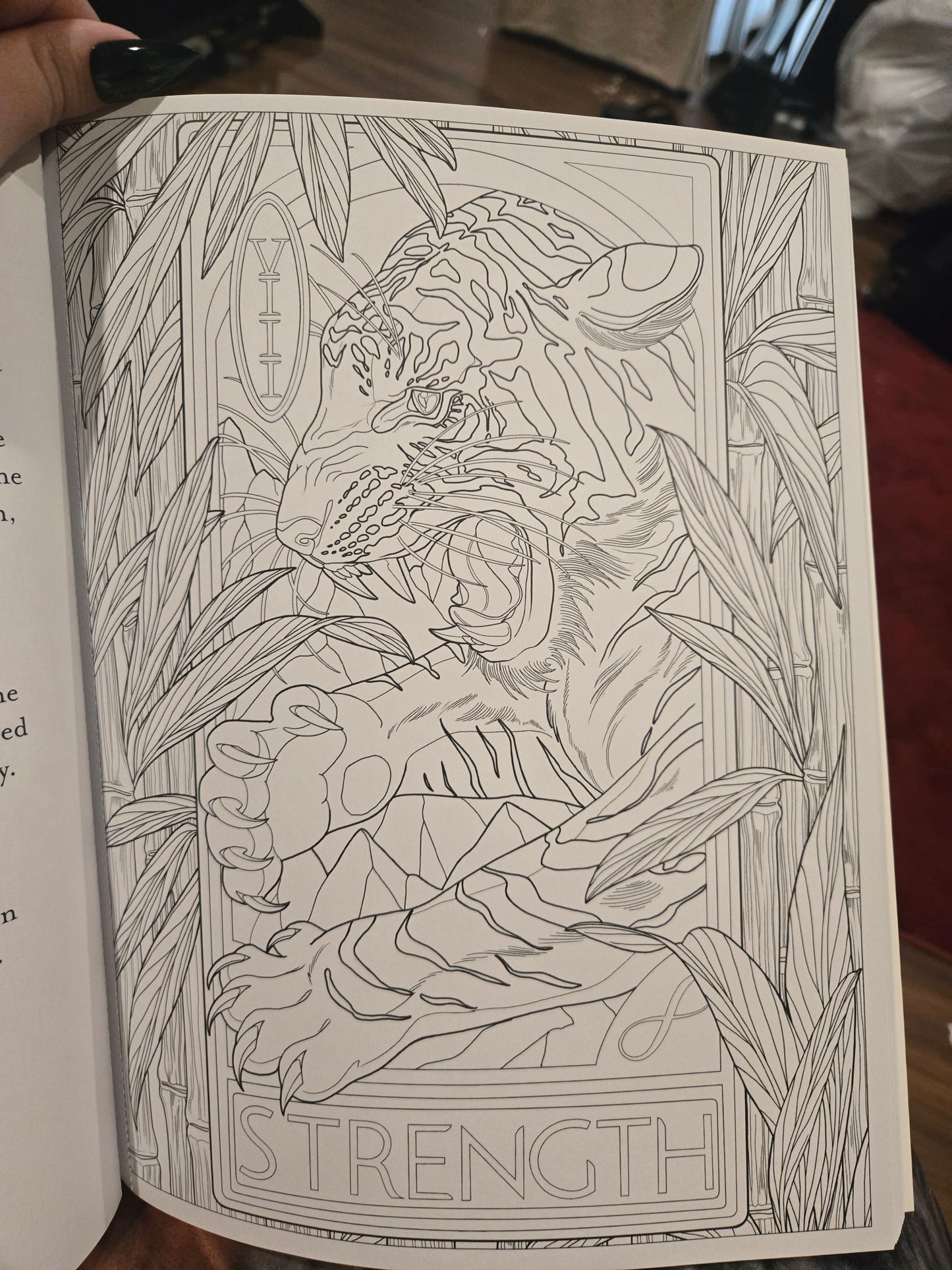 Tarot Coloring Book Illustrated by Alexis E. Thomson