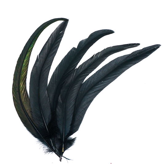 Black Rooster Feathers  - Ethically Sourced
