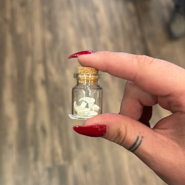 Tiny Jar Cat Bones