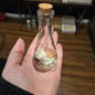 Wet Specimen Black Widow