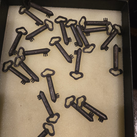 Mini Skeleton Keys