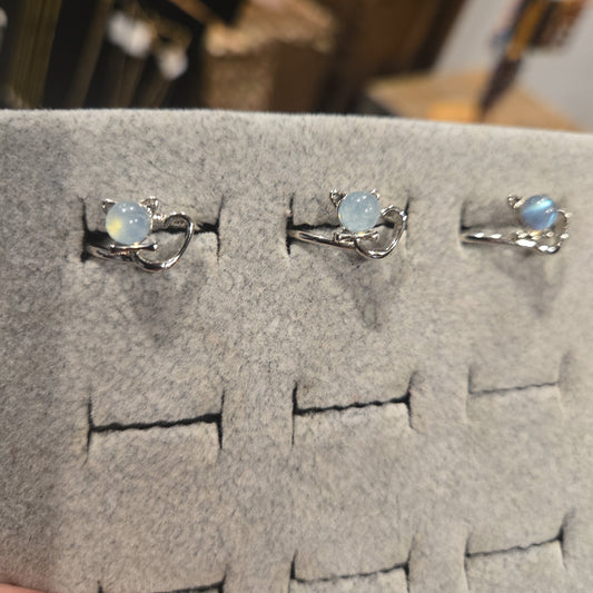 Kitty Rings