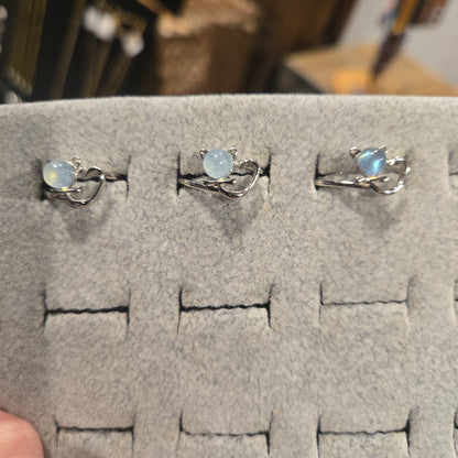 Kitty Rings