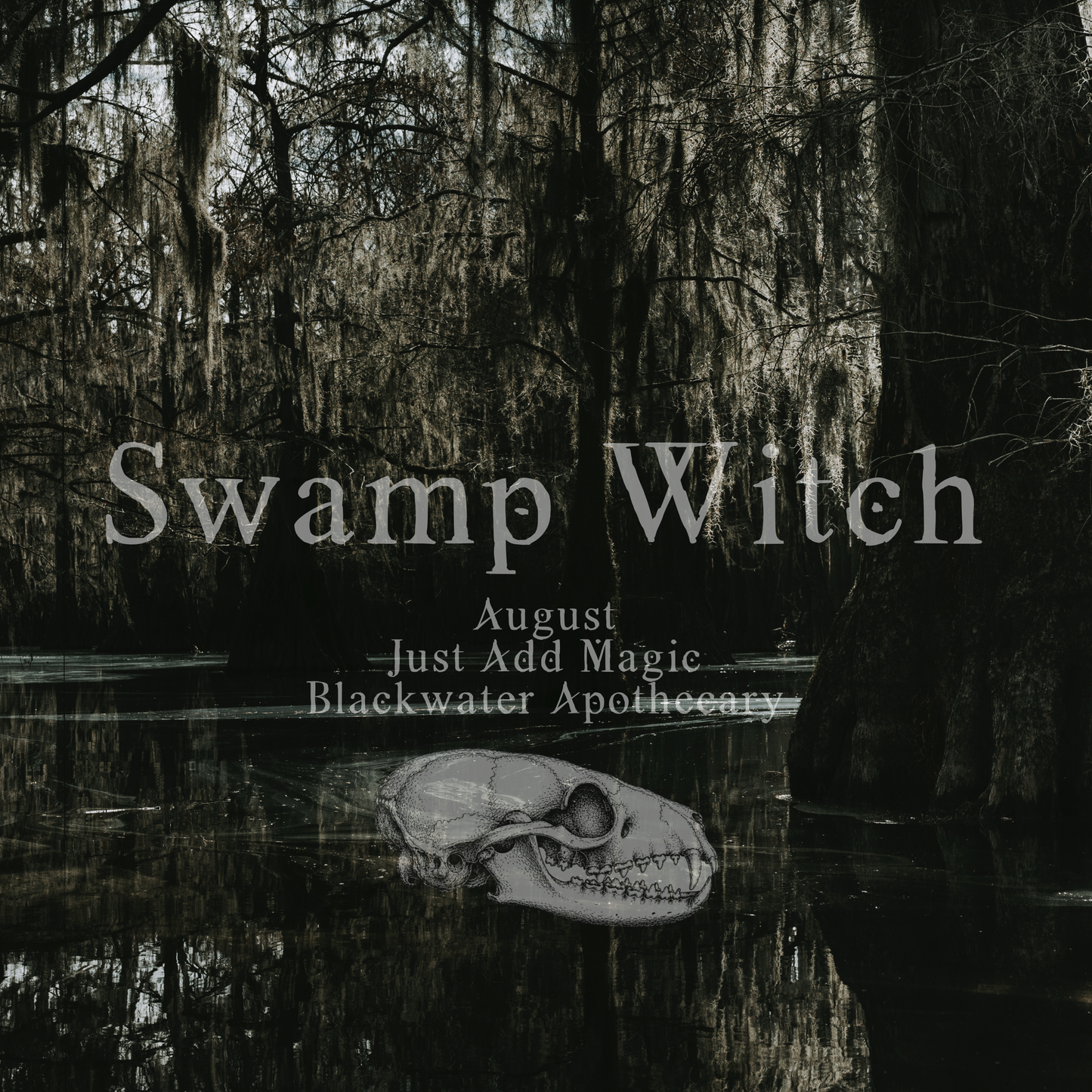August Just Add Magic - Limited Edition Jump Ins