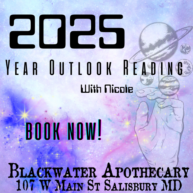 2025 Year Outlook Reading with Nicole