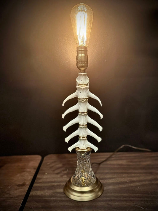 Real Vertebra Spine Lamp by Titled Tulips