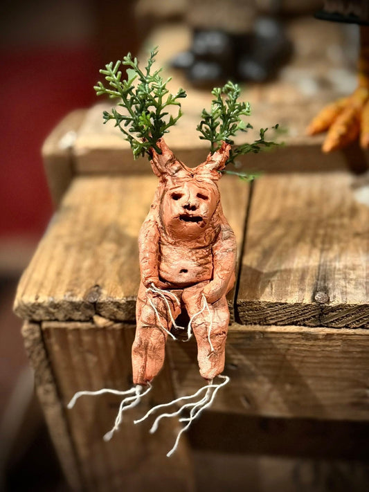 Mandrake Cutie by Tilted Tulips