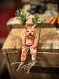 Mandrake Cutie by Tilted Tulips