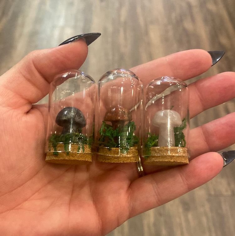 Mini Crystal Mushroom Terrarium
