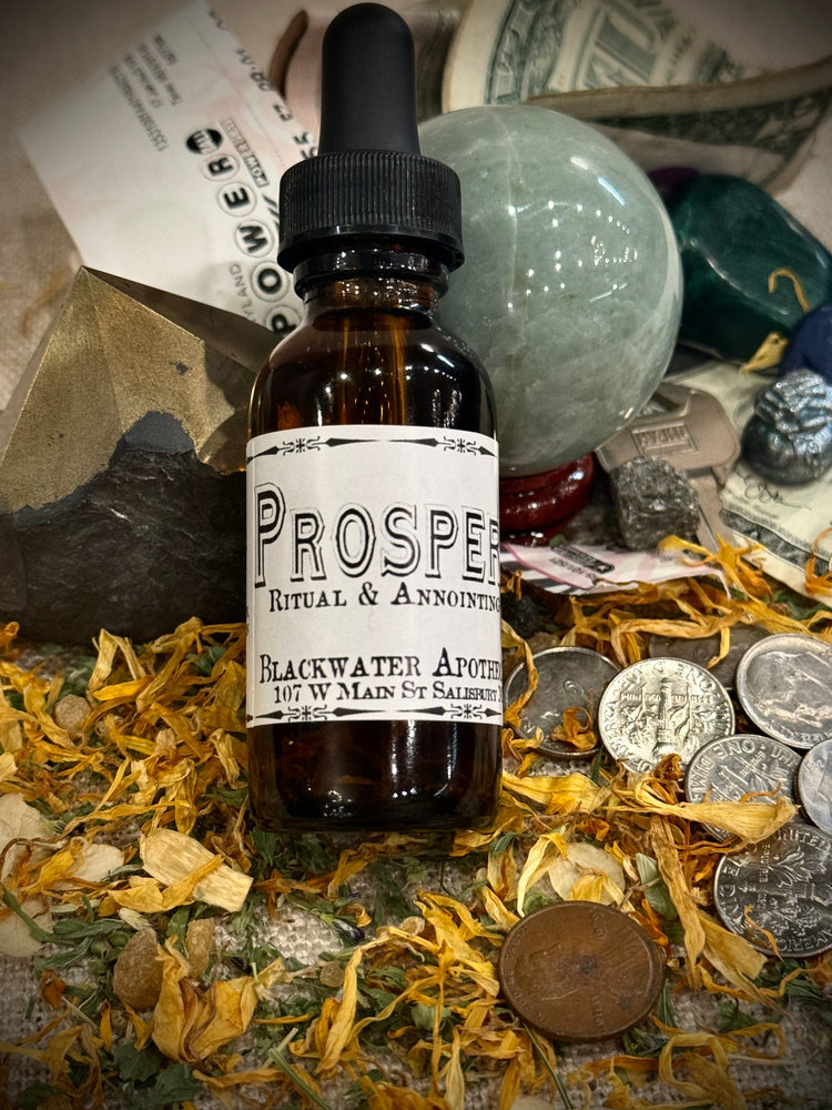 Prosperity - Ritual & Anointing Oil - 1oz