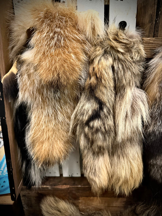 Critter Tails