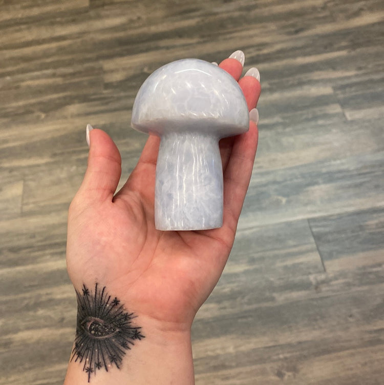 XLarge Crystal Mushroom