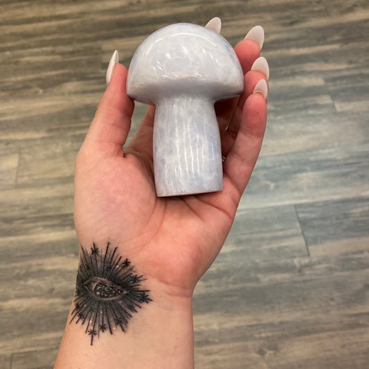 XLarge Crystal Mushroom