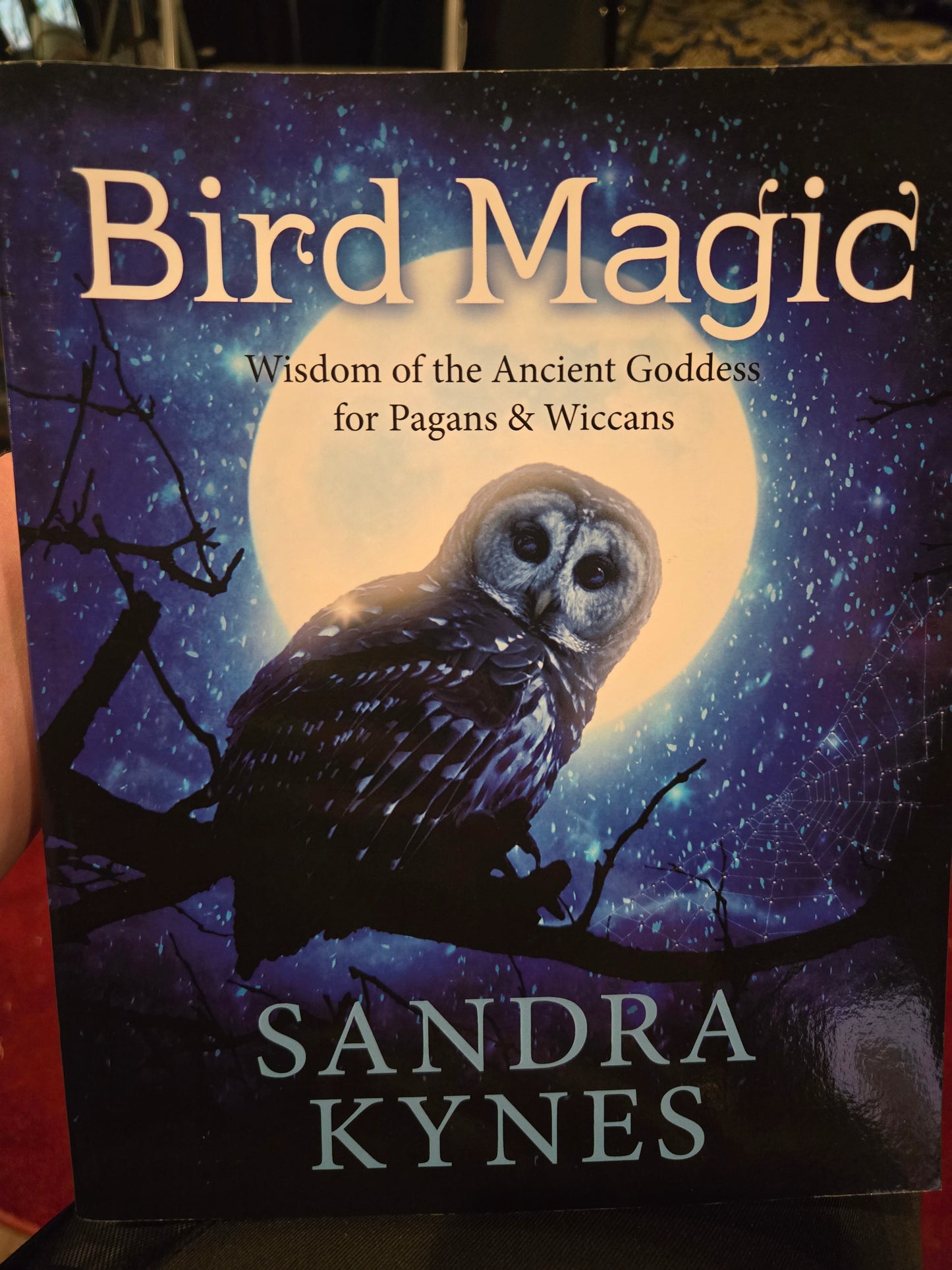 Bird Magic by Sandra Kynes