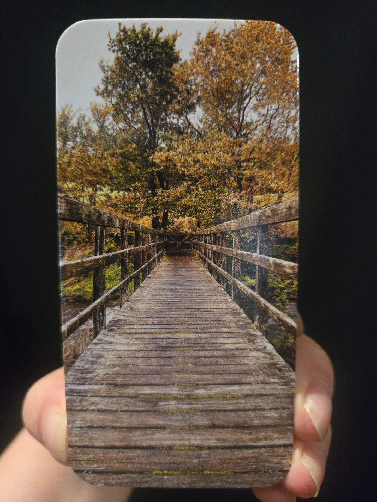 Druid Wisdom: Musings and Inspirations from Druidic Landscapes