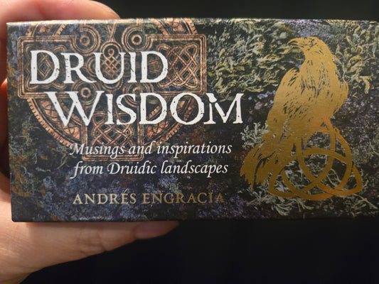 Druid Wisdom: Musings and Inspirations from Druidic Landscapes