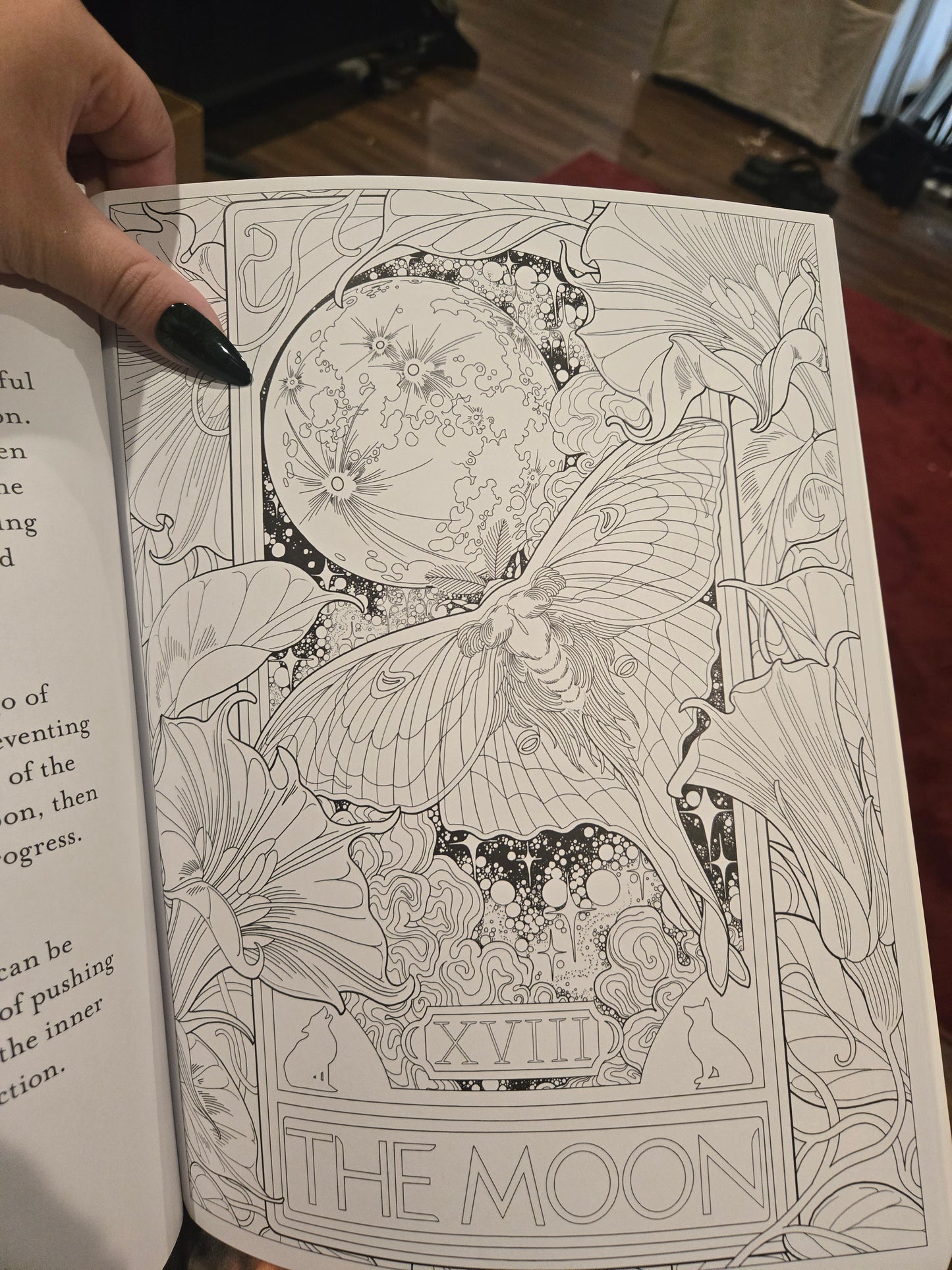 Tarot Coloring Book Illustrated by Alexis E. Thomson